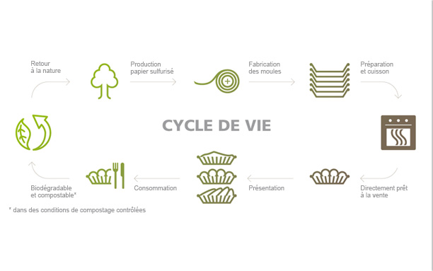 cycle de vie